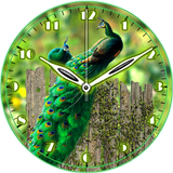 Peacock Clock icono