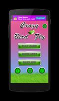 Crazy Bird Fly poster