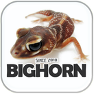 BIGHORN 圖標