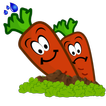 Carrot Farm Kids Game