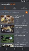 Downloader for VK screenshot 1