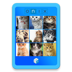 Match the Cat icon