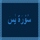 Surah Yaseen / Surat Yasin أيقونة