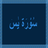 Surah Yaseen / Surat Yasin icono