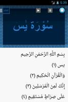 Surah Yaseen / Surat Yasin poster