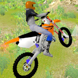 Offroad Moto Fun