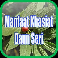 Manfaat Daun Seri screenshot 1