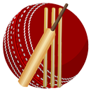 Cricket Language &Terminology APK