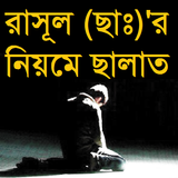 রাসূল (ছাঃ)'র  নিয়মে ছালাত Zeichen