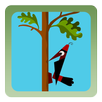 Woodpecker Backyard Woodcutter APK