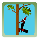 Woodpecker Backyard Woodcutter aplikacja