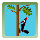 Woodpecker Backyard Woodcutter icon