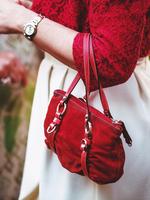 Ladies Purses الملصق