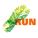 Run for the Rainforest APK