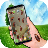 Cockroach in phone prank icon