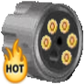 Russian Roulette