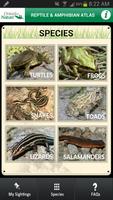 Reptile & Amphibian Atlas captura de pantalla 2