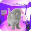 Talking Cat APK