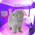 hablando del gato