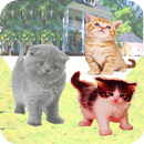会说话的猫与朋友同行 APK