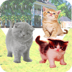 Talking Cat With Friends icon