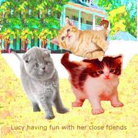 Talking Cat With Friends poster