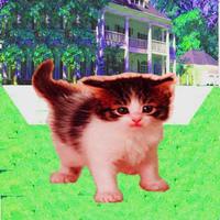 Talking Cat With Friends screenshot 1
