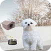 Talking Dog Jimmy APK