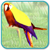 Talking Parrot icono