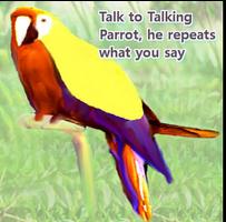 Talking Parrot Affiche
