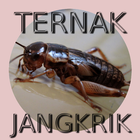 Beternak dan Budidaya Jangkrik biểu tượng