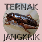 Beternak dan Budidaya Jangkrik icono