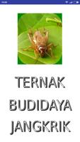 Beternak dan Budidaya Jangkrik poster