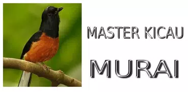 Master Kicau Murai