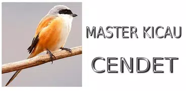 Master Kicau Cendet