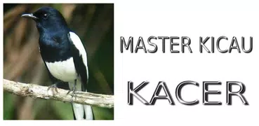 Master Kicau Kacer