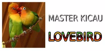 Master Kicau Lovebird