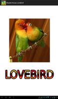 Master Kicau Lovebird plakat