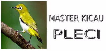 Master Kicau Pleci