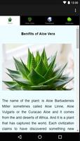 Benefits of Aloe Vera capture d'écran 1