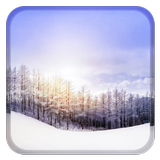 Snowy Winter 圖標