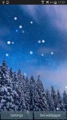 Snowy Winter APK Herunterladen