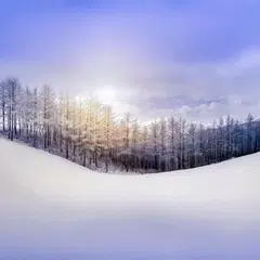 Snowy Winter APK Herunterladen
