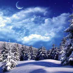 Snowy Winter APK Herunterladen