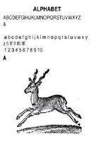 [Book]The Picture Alphabet スクリーンショット 1