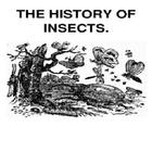 昆蟲的歷史 图标