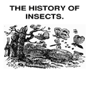 APK The History of Insects