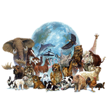 Угадай животных