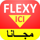 Ici Flexy icon