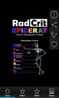 Radcrit capture d'écran 1